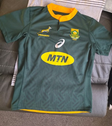 South africa springboks - south,