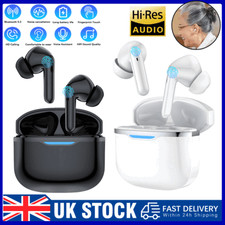 Digital Hearing Aids Invisible