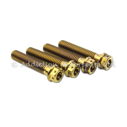 Bronze titanium front fork - titanium,