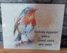 Robin Glass Worktop Protector