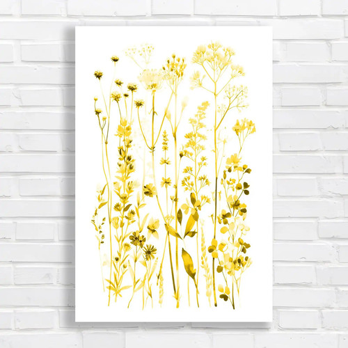 Elegant botanical nature - elegant,