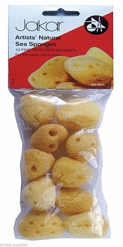 Small natural sea - 10, sponges