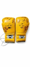 Signed Boxing Gloves Multi