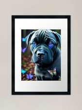 Enchanted cane corso puppy - corso,
