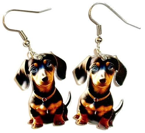 Cute dachshund puppy - puppy, dog