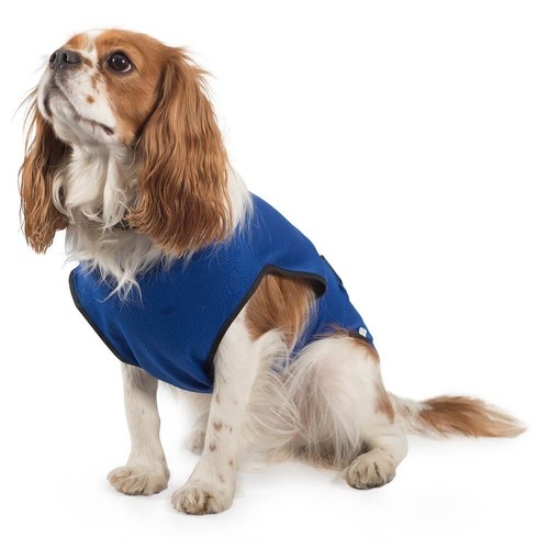 Ancol dog cooling coat blue - coat,