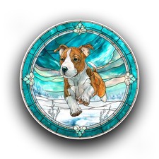 Staffordshire Bull Terrier Dog