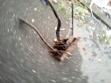 RELIANT SCIMITAR GTE SE5a