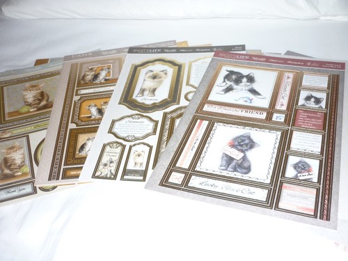Hunkydory cats theme kits - 4,