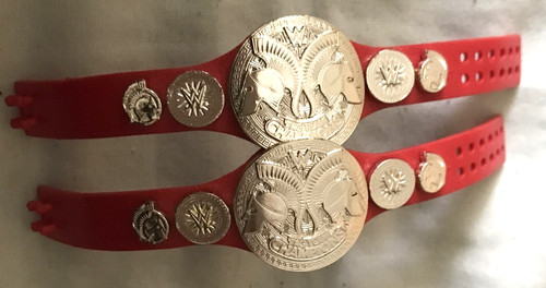 Elite raw tag team title - elite,