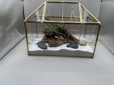 Plant Terrarium Succulent
