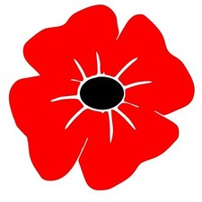 Poppy Heroes Soldier/Military/Charity Car/Van Sticker Vinyl Decal Lest We Forget