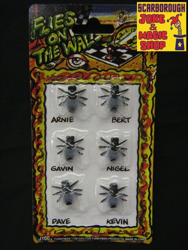 Flies the wall joke - the,
