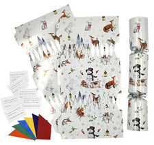 Christmas Cracker Make & Fill Your Own kit Makes 6 Crackers Hats Jokes Woodland