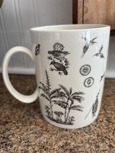 Wedgewood collectors society - wedgewood,