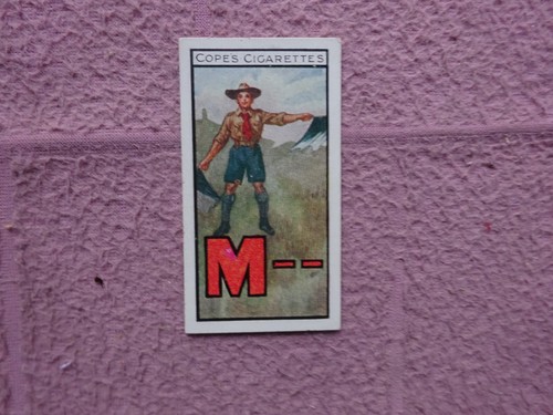 Cope boy scout girl - boy,