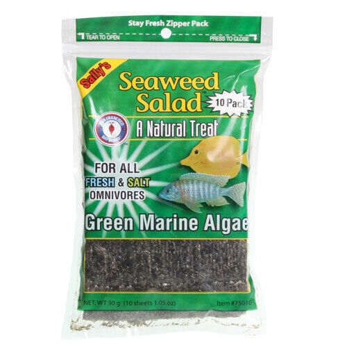Seaweed salad green marine - green,