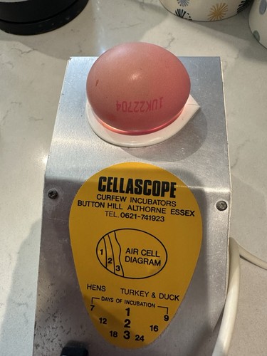 Vintage cellascope egg - vintage,