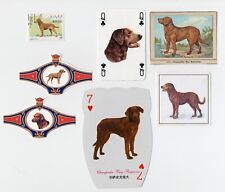 CHESAPEAKE BAY RETRIEVER COLLECTION DOG COLLECTABLE SINGLE CARDS STAMP & BANDS