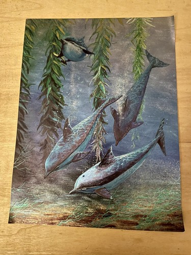 Dufex dolphins 1995 - dufex,