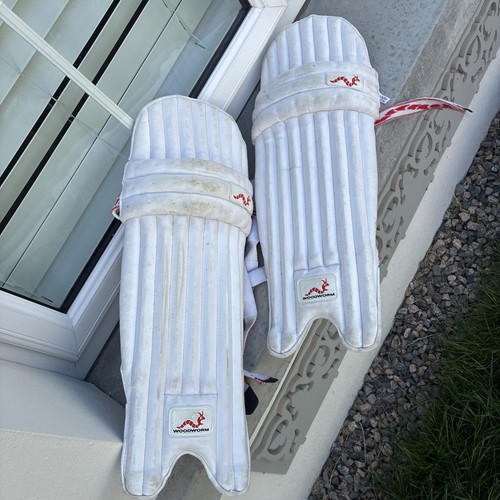 Woodworm pioneer batting pads - woodworm,