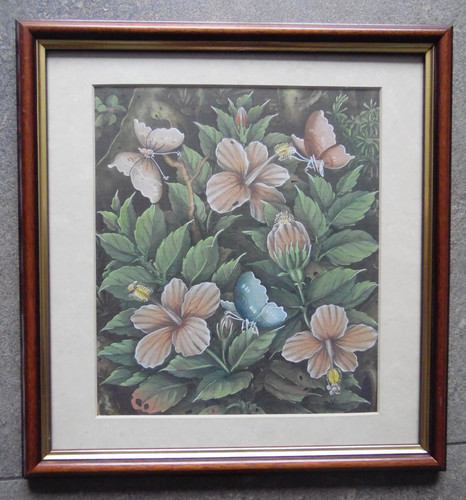Butterfly hibiscus flowers - butterfly, +