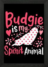Budgie Budgerigar Spirit A