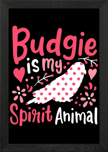 Budgie budgerigar spirit - budgerigar,