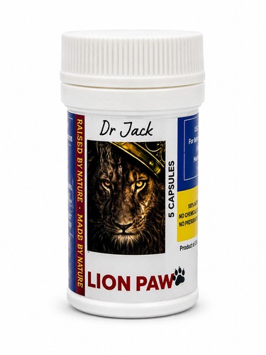 Jack lion paw - lion,