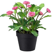 IKEA fejka daisy' pink flower like real new 103.953.36