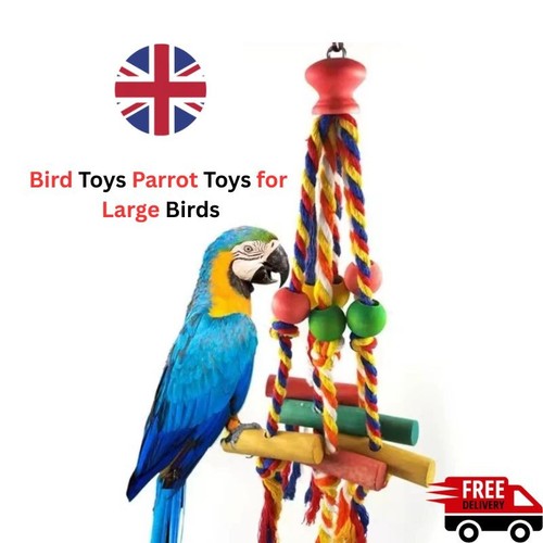 Bird toys parrot - bird, for