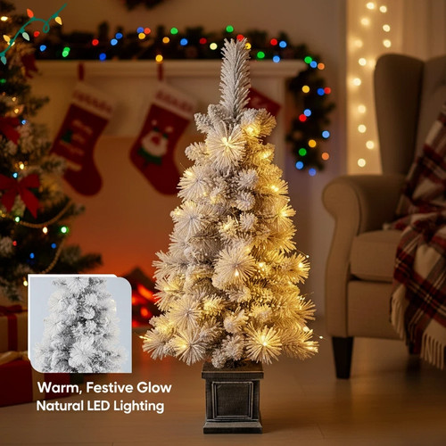Christmas tree snow flocked - tree, &