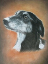 Superb, Original Nicolette Quigley Dog Portrait, Lurcher - Framed, Genuine, 2003