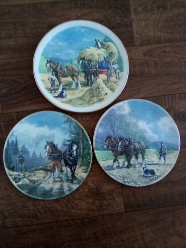Horse wall plates decorative - horse,