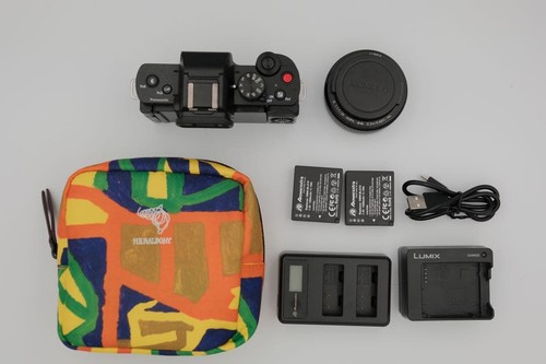 Panasonic lumix g100 - panasonic, dc-g100