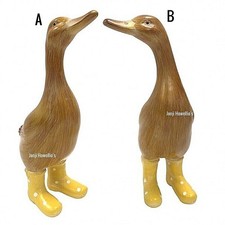 Ducks In Wellies Garden