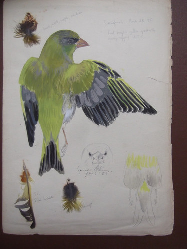 Original watercolour and - original,