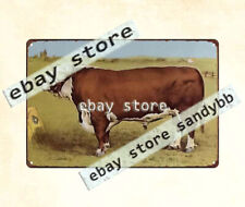 1890 cow cattle farm livestock