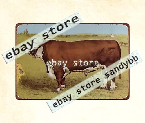 1890 cow cattle - farm, livestock