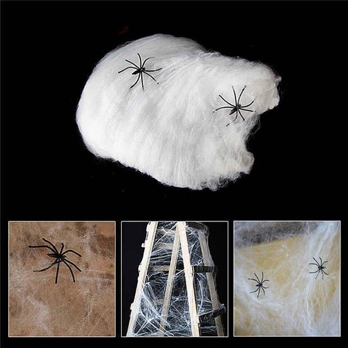 Halloween spiders web net - halloween,