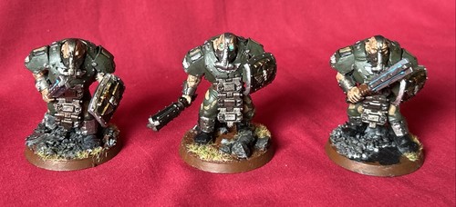 Ogryn very well - x3,