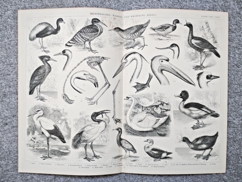 Examples wading and - examples,