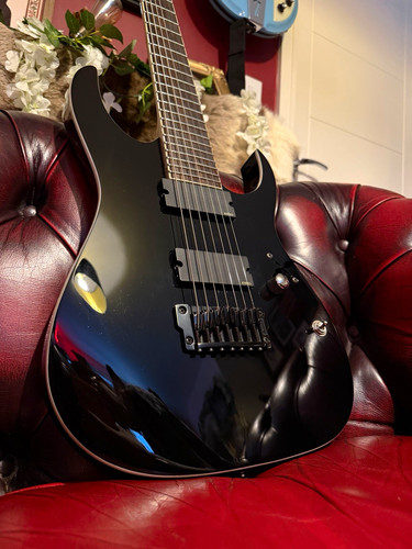 Ibanez rgir27fe iron label - label, 7