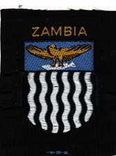 Boy Scout Badge National