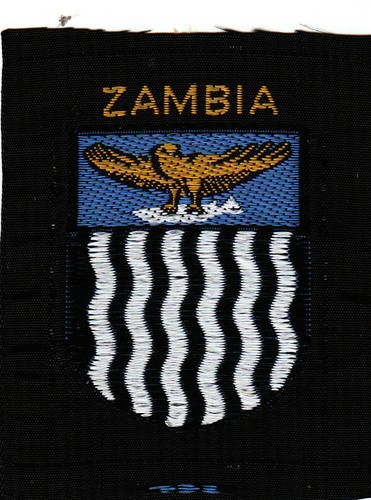 Boy scout badge national - boy,