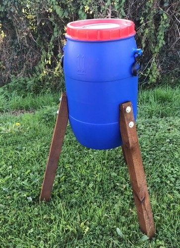 Chicken pheasant poultry - 1x, pheasant,