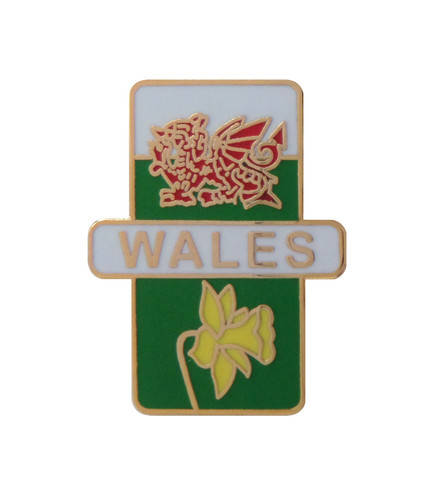 Wales dragon and daffodil - wales, pin