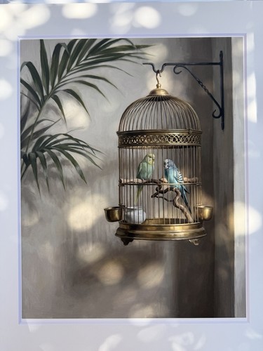 Budgie pair victorian - budgie,