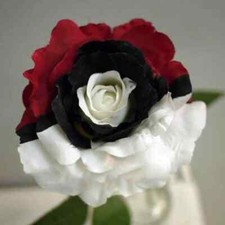 Rare Red White Black Rose