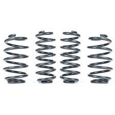 VWR Racingline Sports Springs
